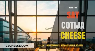 Mastering Pronunciation: How to Say Cotija Cheese Like a Pro