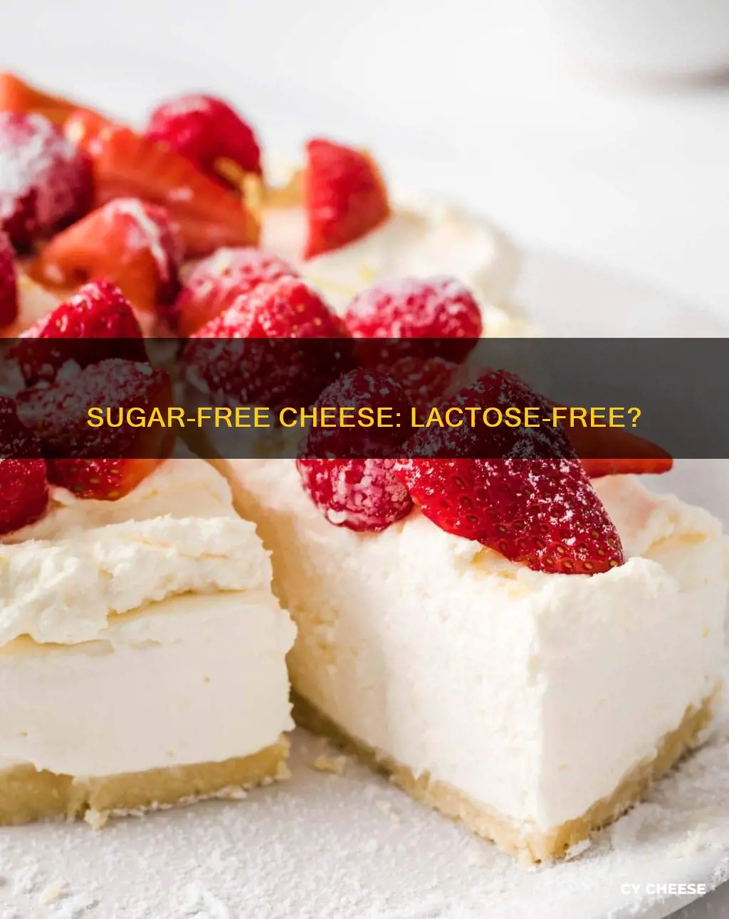 is 0 sugar cheese lactose free