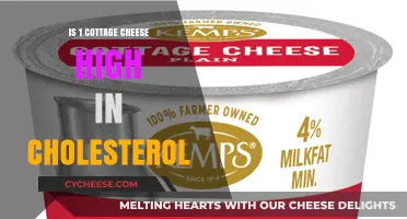 Cottage Cheese and Cholesterol: Debunking the High Cholesterol Myth