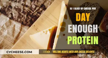 Is One Slice of Cheese Daily Sufficient for Your Protein Needs?