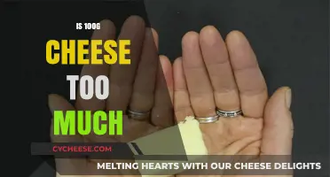 Is 100g of Cheese a Healthy Portion Size for You?