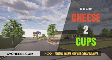 Cheese Conversion: Oz to Cups