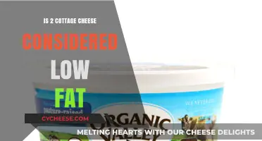 Is Cottage Cheese Low Fat? Analyzing 2% Varieties