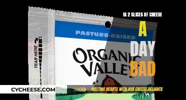 Cheese Consumption: How Much Is Too Much?