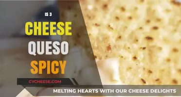 Is 3 Cheese Queso Spicy? Exploring the Heat Level of This Classic Dip