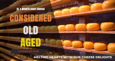Is 3-Month Aged Cheese Truly Considered Old? Exploring Aging