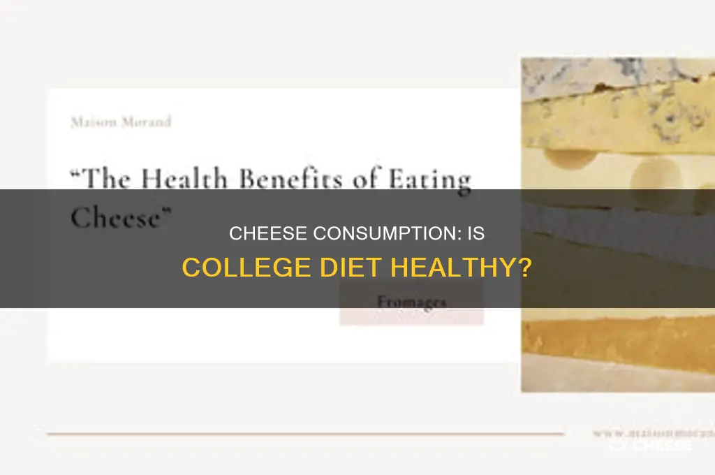 is 4 college cheese good for you