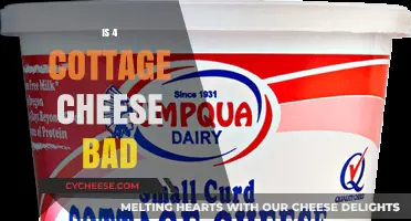 Is Cottage Cheese with 4% Milk Fat Unhealthy? Find Out