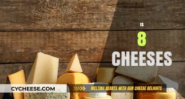 Exploring the Richness of Eight Cheeses: A Flavorful Journey