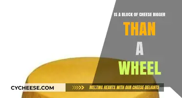 Cheese Size Showdown: Block vs. Wheel – Which is Bigger?