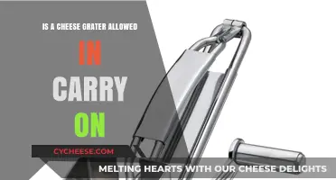 Can You Bring a Cheese Grater in Your Carry-On Luggage?