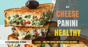 Cheese Panini: Healthy or Unhealthy?