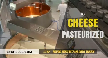 Is Your Cheese Pasteurized? Understanding Cheese Safety and Production