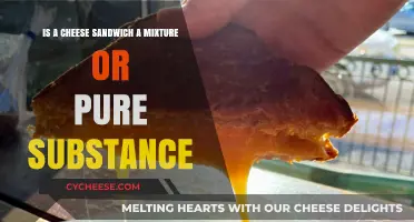 Cheese Sandwich: Mixture or Pure Substance? Unraveling the Culinary Chemistry