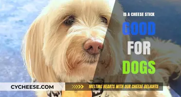 Cheese Sticks: Healthy Dog Treats?
