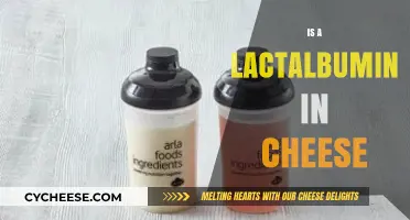 Understanding Lactalbumin: Its Role and Presence in Cheese Explained