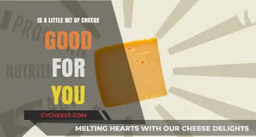 Cheese: Healthy Treat or Unhealthy Snack?