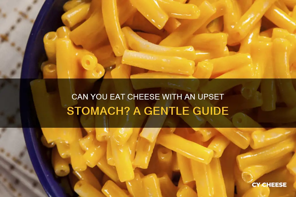 is a little cheese ok on an upset stomach