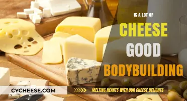 Cheese for Bodybuilding: Friend or Foe?