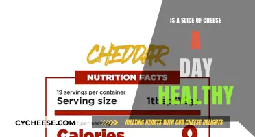 Cheese: Healthy Daily Habit or Dietary Danger?