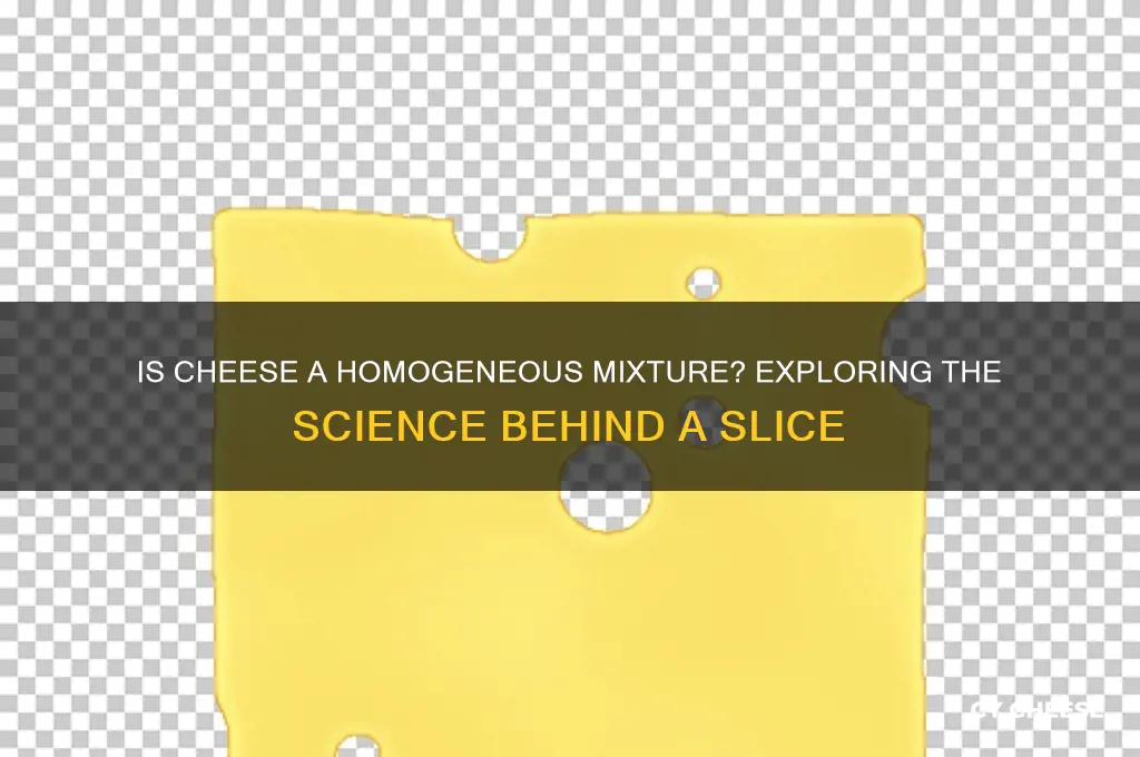 is a slice of cheese a homogeneous mixture