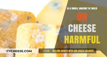 Small Mold on Cheese: Harmless or Health Hazard?
