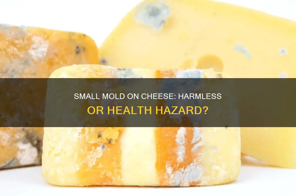 is a small amount of mold on cheese harmful