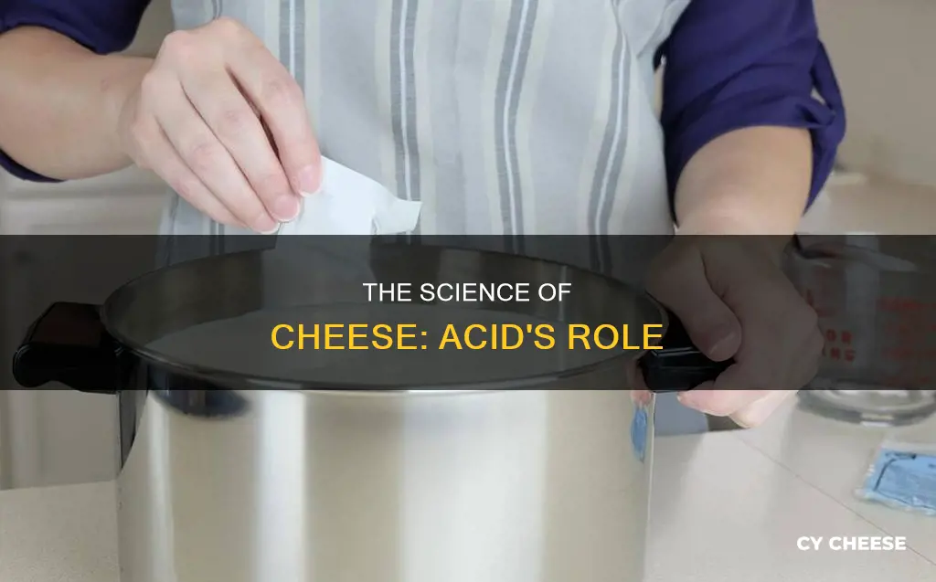is acid used in the making of cheese