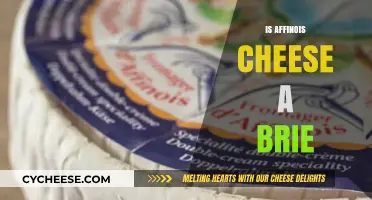 Is Affinois Cheese a Brie? Unraveling the Creamy Confusion