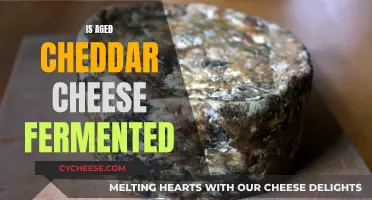 The Art of Aging: Is Cheddar's Fermentation Key?