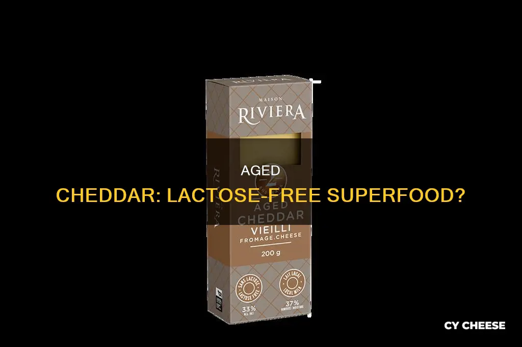 is aged cheddar cheese lactose free