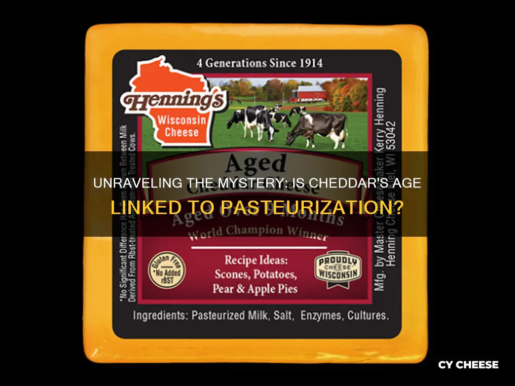 is aged cheddar cheese pasteurized