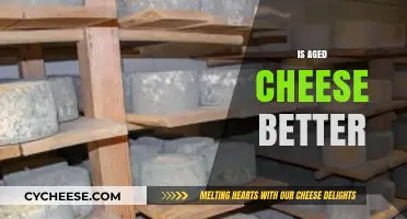 Aged Cheese: Superior Flavor or Overrated? Uncovering the Truth