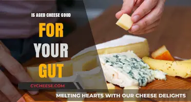 Aged Cheese: Gut Health Benefits and Drawbacks