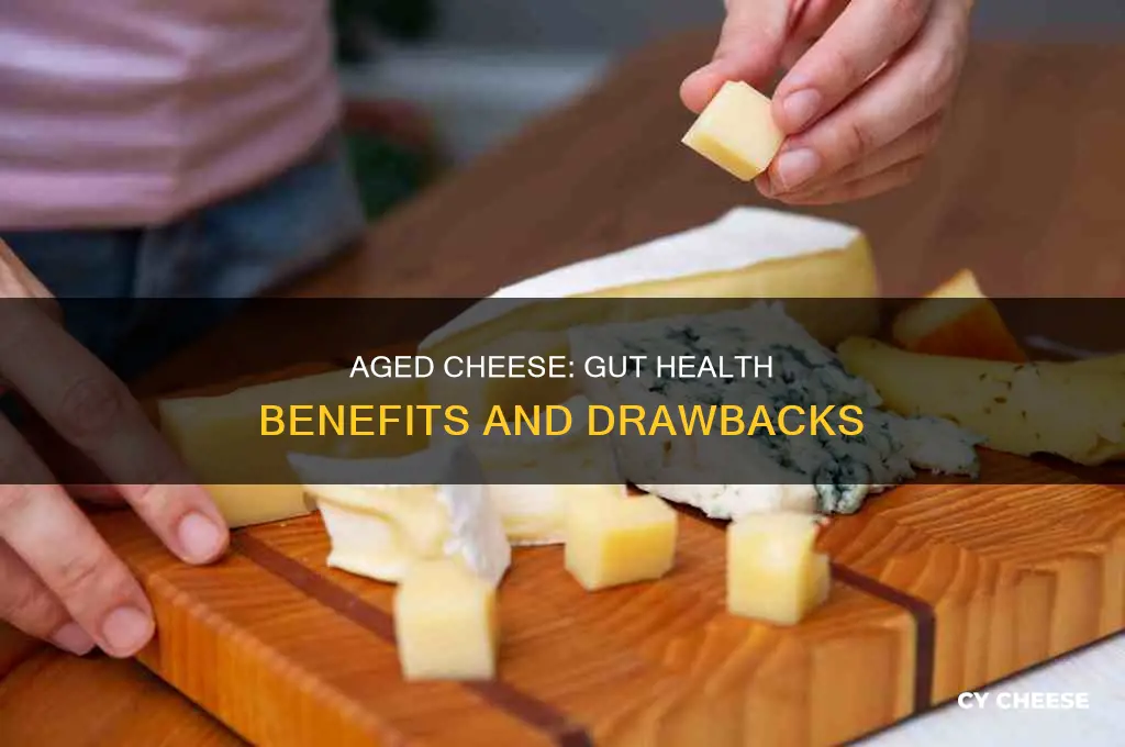is aged cheese good for your gut
