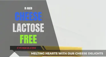 Aged Cheese: Lactose-Free Superfood?