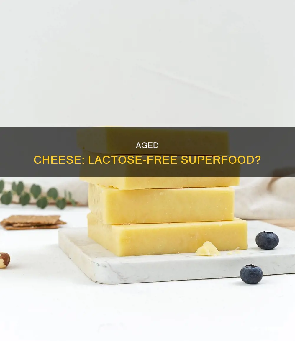 is aged cheese lactose free