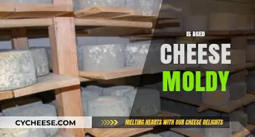 Is Aged Cheese Moldy? Unraveling the Truth Behind Cheese Aging