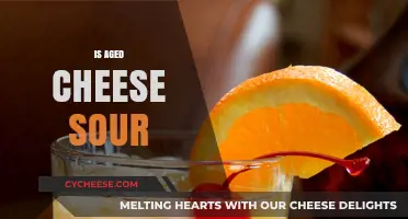 Is Aged Cheese Sour? Exploring the Tangy Truth Behind Matured Cheeses
