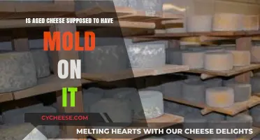Is Mold on Aged Cheese Normal? What You Need to Know