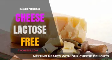 Parmesan Cheese and Lactose: What's the Deal?