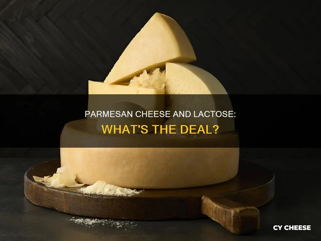 is aged parmesan cheese lactose free