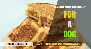 Can Dogs Eat Grilled Cheese? Safety Tips for Pet Owners