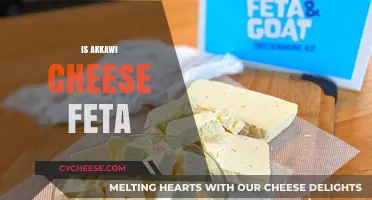 Akkawi and Feta: What's the Difference?