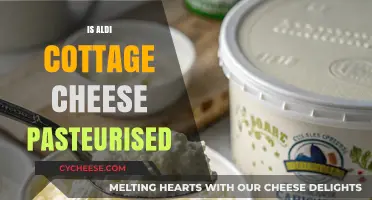 Is Aldi Cottage Cheese Pasteurized? A Complete Guide to Safety