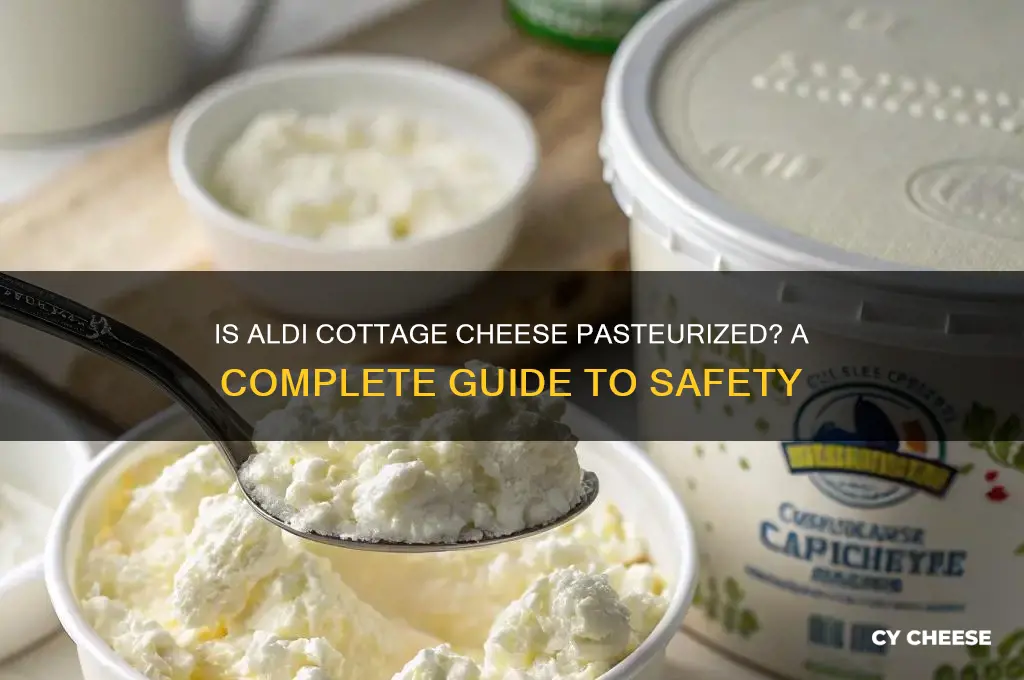 is aldi cottage cheese pasteurised