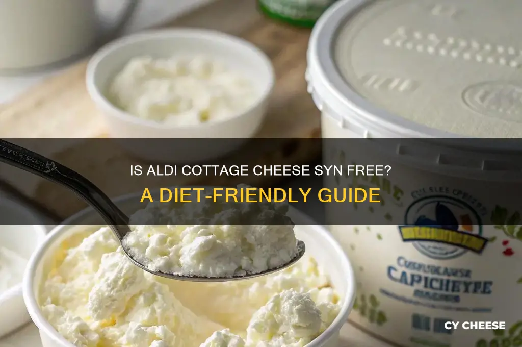 is aldi cottage cheese syn free