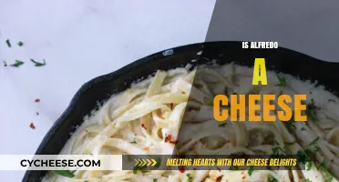 Is Alfredo a Cheese? Unraveling the Truth Behind the Sauce