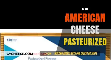 Is All American Cheese Pasteurized? Uncovering the Truth Behind the Label