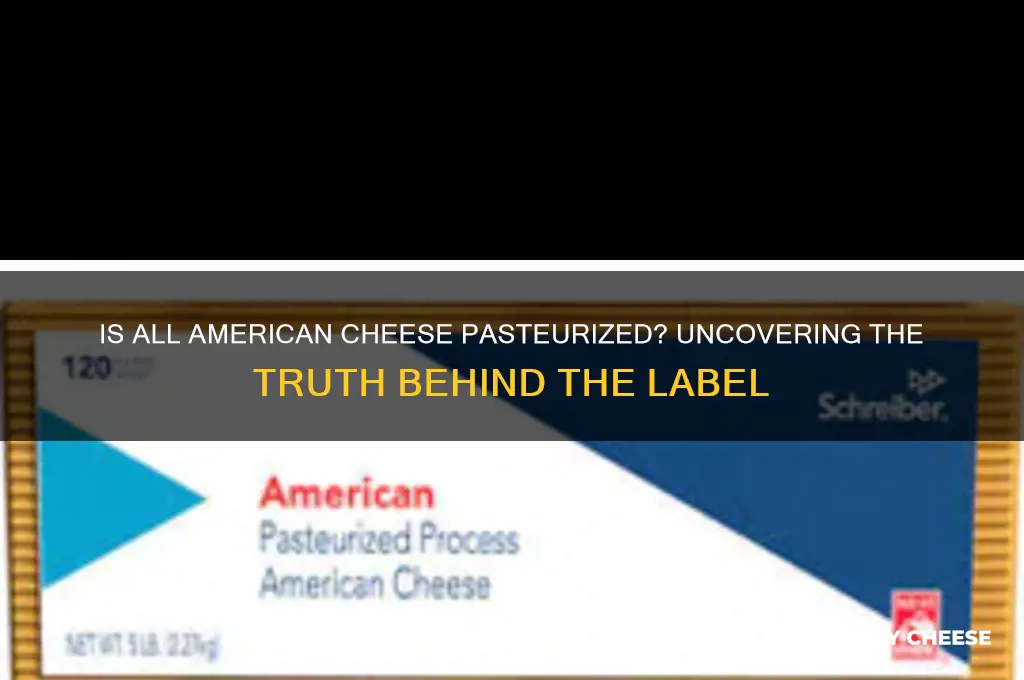 is all american cheese pasteurized